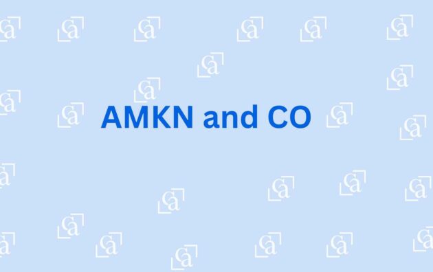 AMKN and CO - Chartered Accountant in Noida