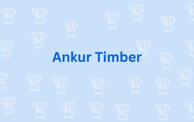 Ankur Timber Modular Kitchen in Noida