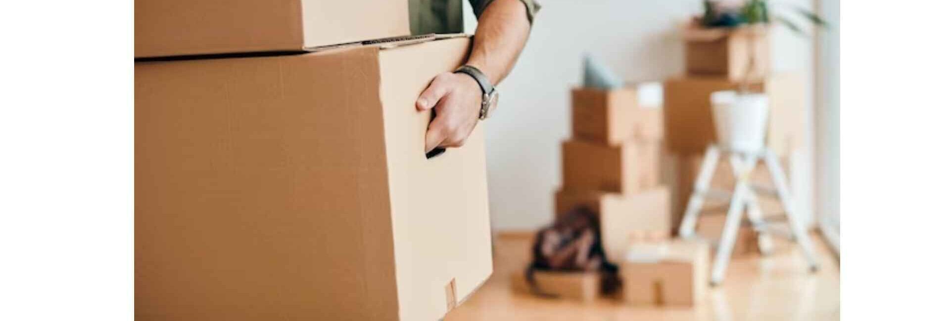 BS Noida Packers and Movers - Packers and Movers Service in Noida