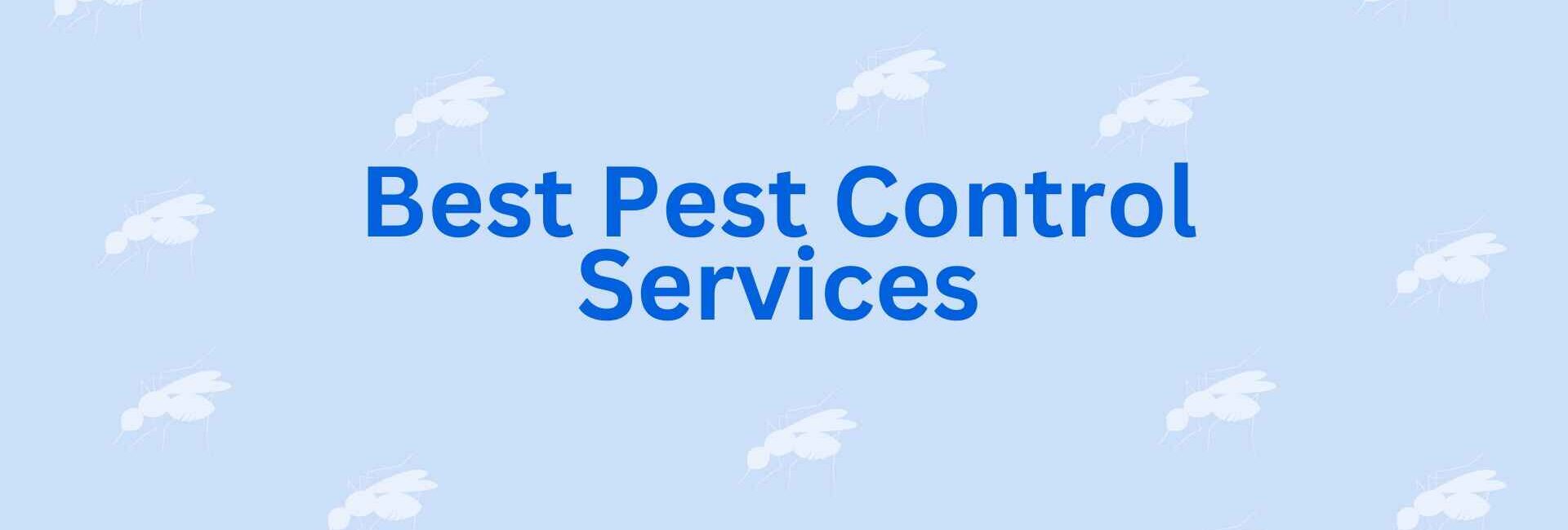 Best Pest Control Services - Pest Control in Noida