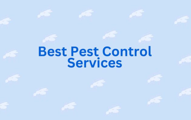 Best Pest Control Services - Pest Control in Noida