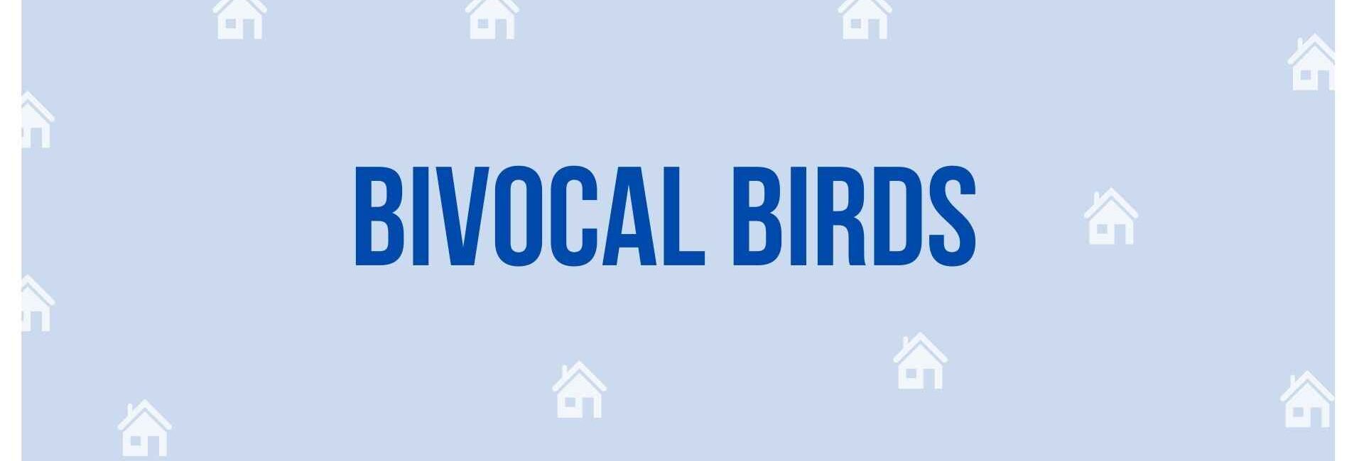 Bivocal Birds - Property Dealer in Noida