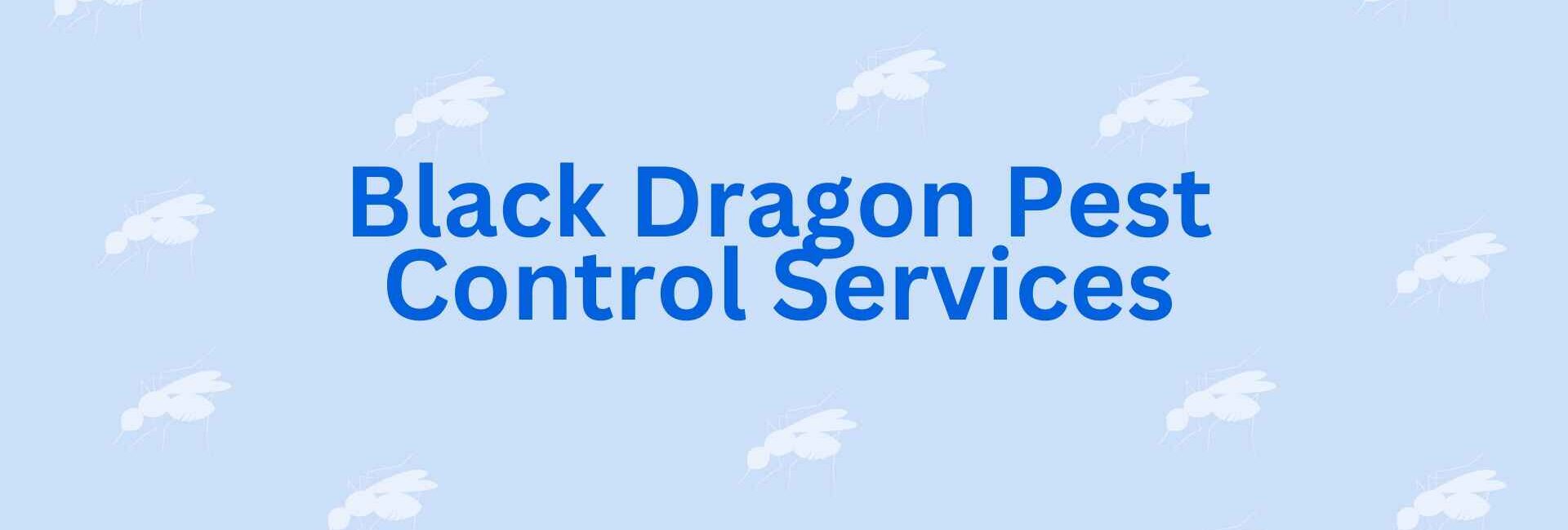 Black Dragon Pest Control Services - Best Pest Control in Noida