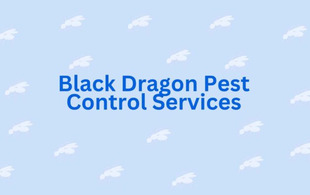Black Dragon Pest Control Services - Best Pest Control in Noida