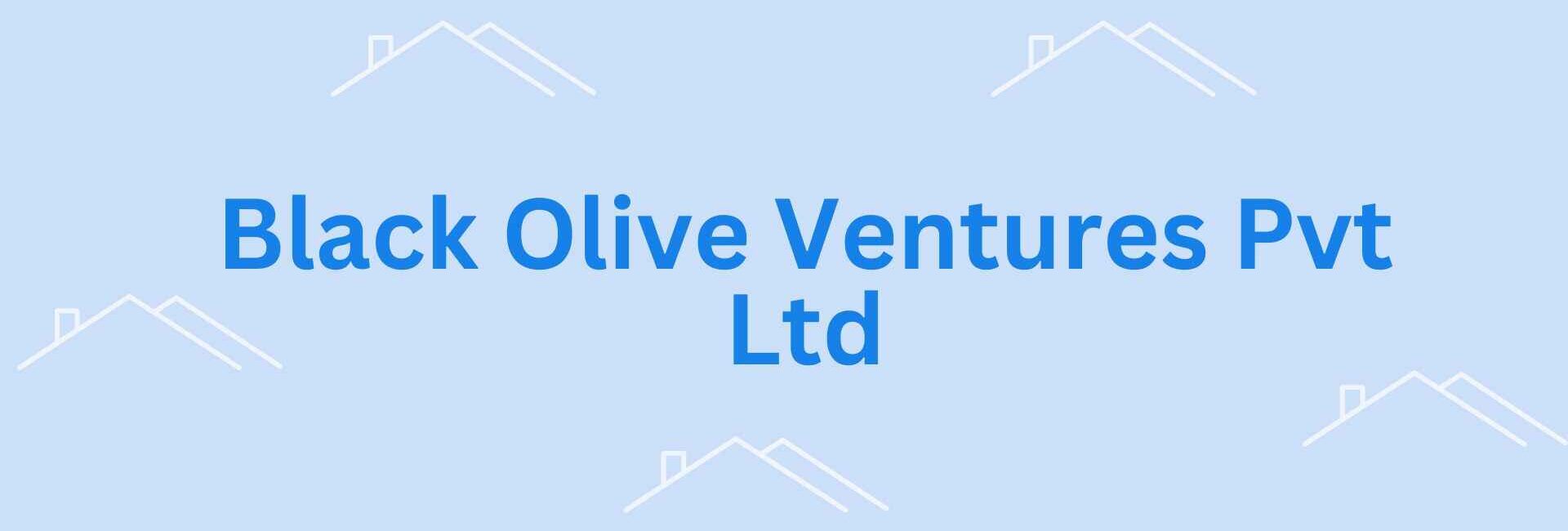 Black Olive Ventures Pvt Ltd- property valuation services in Noida