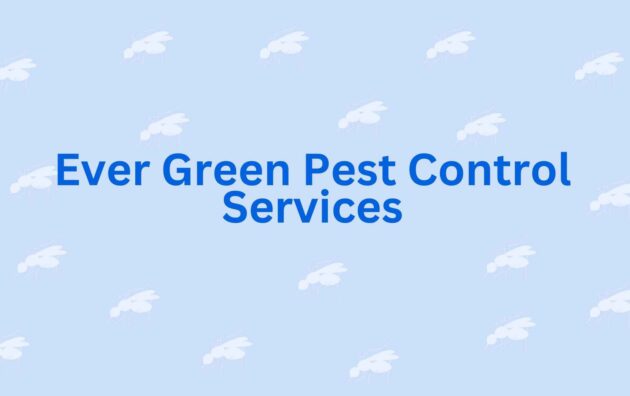 Ever Green Pest Control Services - Best Pest Control Service in Noida