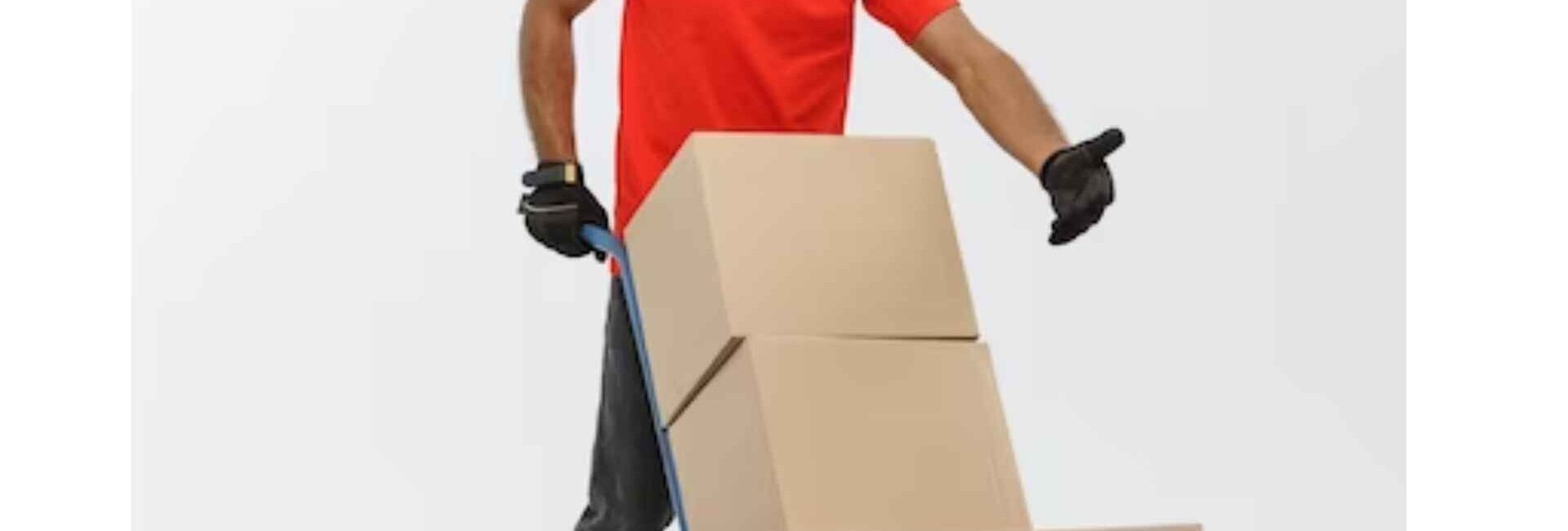 Fast Flight Packers and Movers - Expert Packers and Movers in Noida