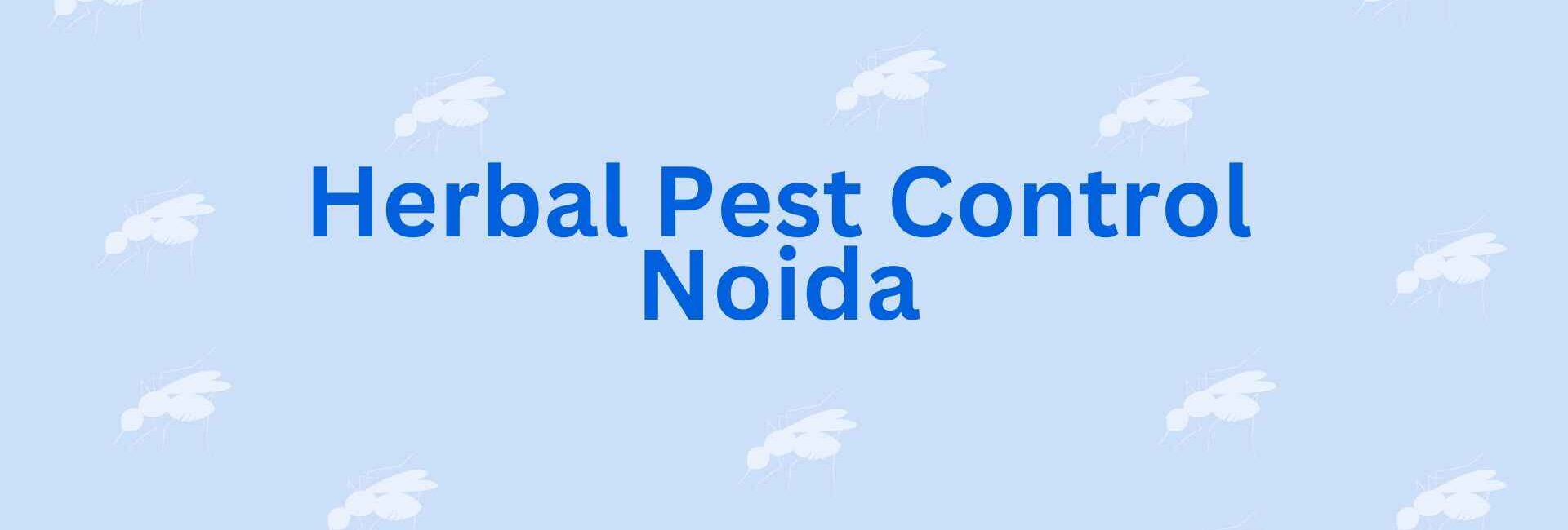 Herbal Pest Control Noida - Best Pest Control Noida