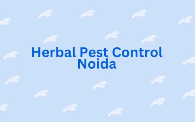 Herbal Pest Control Noida - Best Pest Control Noida
