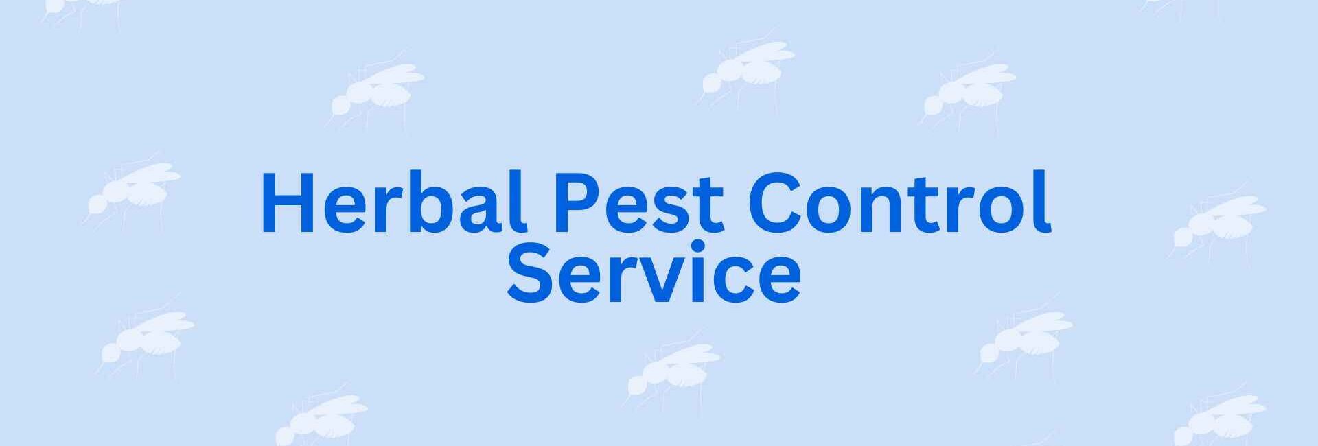 Herbal Pest Control Service - Pest Control in Noida