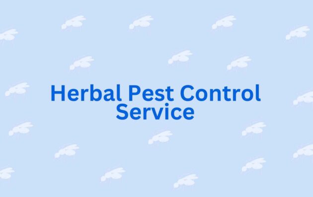 Herbal Pest Control Service - Pest Control in Noida