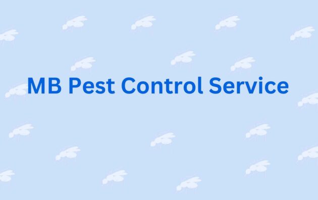 MB Pest Control Service - Pest Control service in Noida