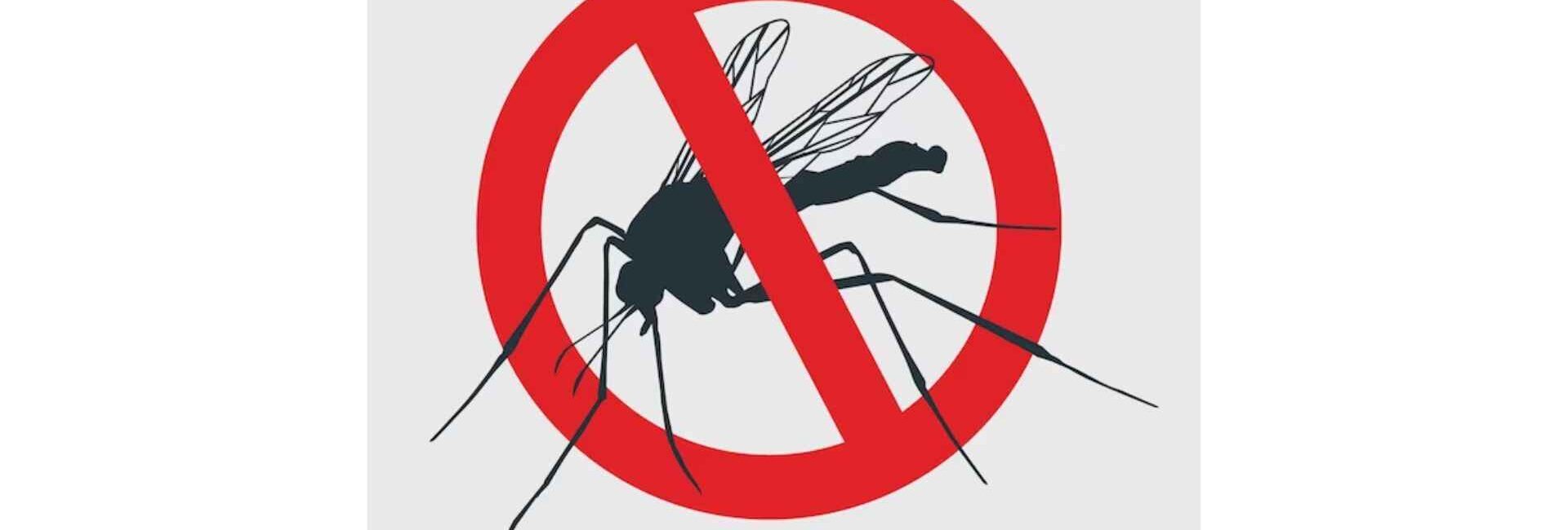 Pest Cure Incorporation - Pest Control service in Noida