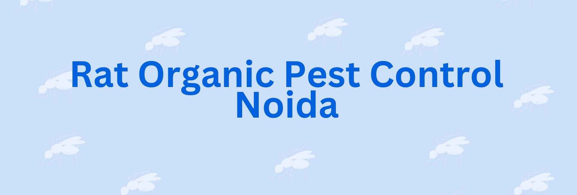 Rat Organic Pest Control Noida - Pest Control Noida