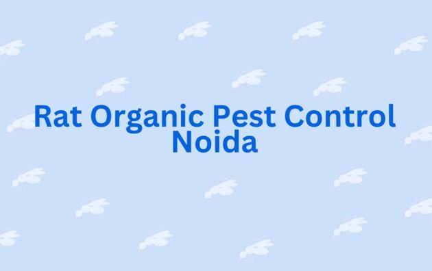 Rat Organic Pest Control Noida - Pest Control Noida