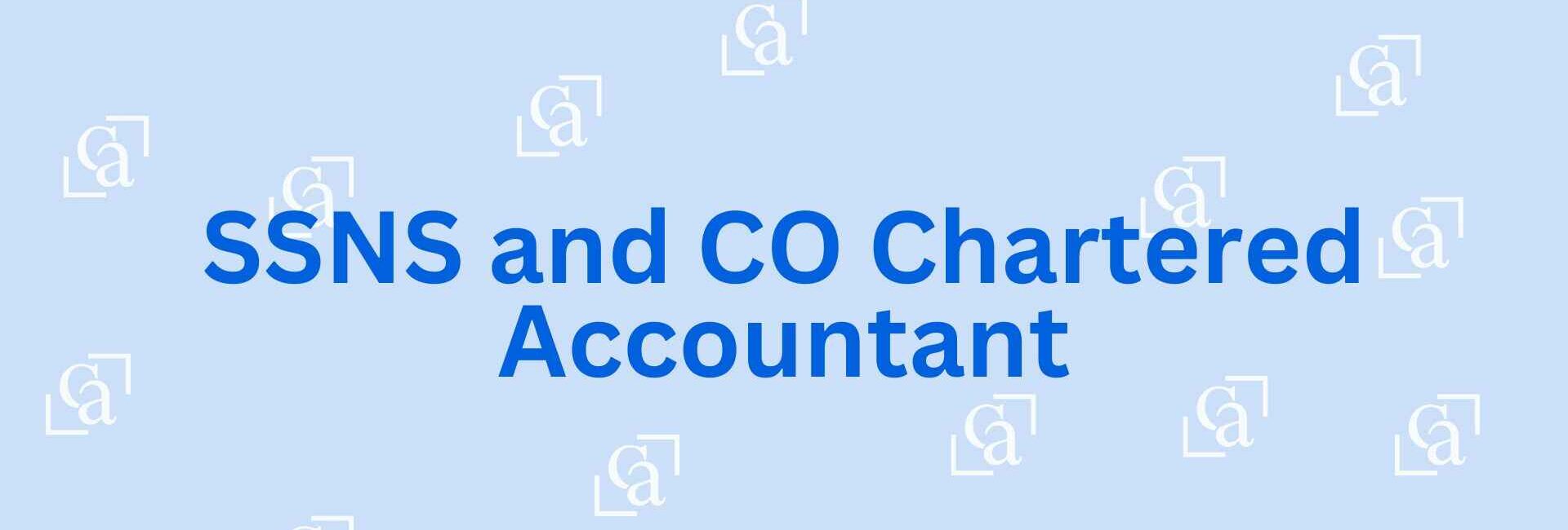 SSNS and CO Chartered Accountant - Best Chartered accountant Noida