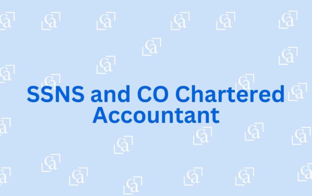 SSNS and CO Chartered Accountant - Best Chartered accountant Noida