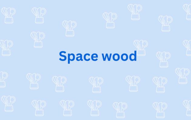 Space wood- Best Modular Kitchen Dealer in Noida