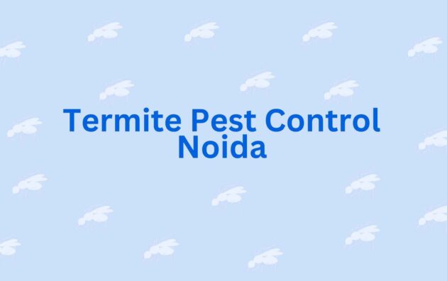 Termite Pest Control Noida - Pest Control Expert Service in Noida