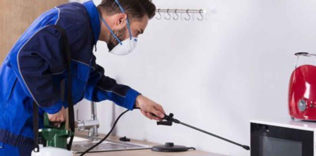 Benefits-of-Hiring-Professional-Pest-Control-Services