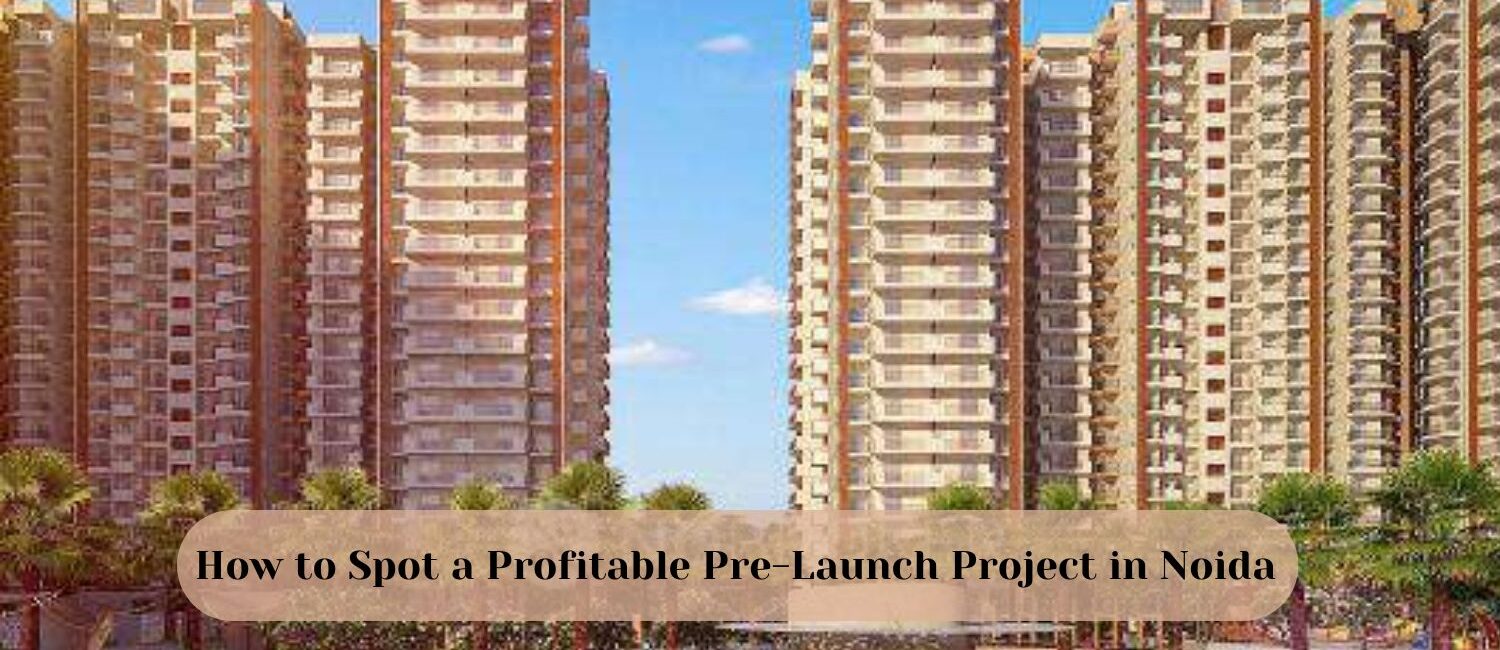 How-to-Spot-a-Profitable-Pre-Launch-Project-in-Noida.