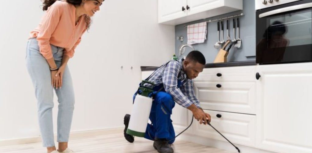 The-Role-of-Pest-Control-in-Enhancing-Home-Value-and-Comfort.