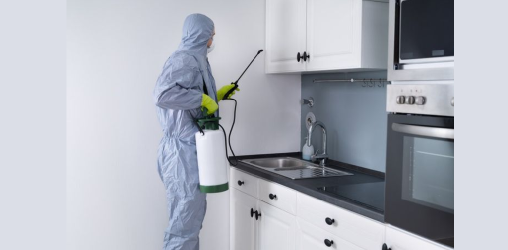 Why-Regular-Pest-Control-is-Essential-for-Noida-Homes.