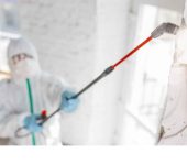 APS Pest Control - Pest Control Service in Noida