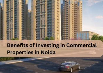 Benefits-of-Investing-in-Commercial-Properties-in-Noida.