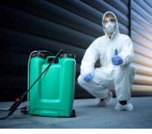 Ever Green Pest Control Services - Pest Control Service in Noida