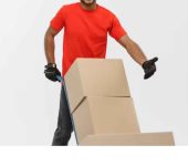 Fast Flight Packers and Movers - Expert Packers and Movers in Noida