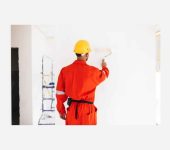 Gulista Painting Interior designer - house painter in Noida