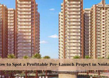 How-to-Spot-a-Profitable-Pre-Launch-Project-in-Noida.