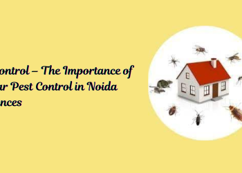 Pest-Control-–-The-Importance-of-Regular-Pest-Control-in-Noida-Residences