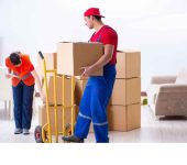 Shree Packers and Movers - Best Packers and Movers in Noida