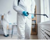 UK International Pest Control - Pest Control Expert Service in Noida